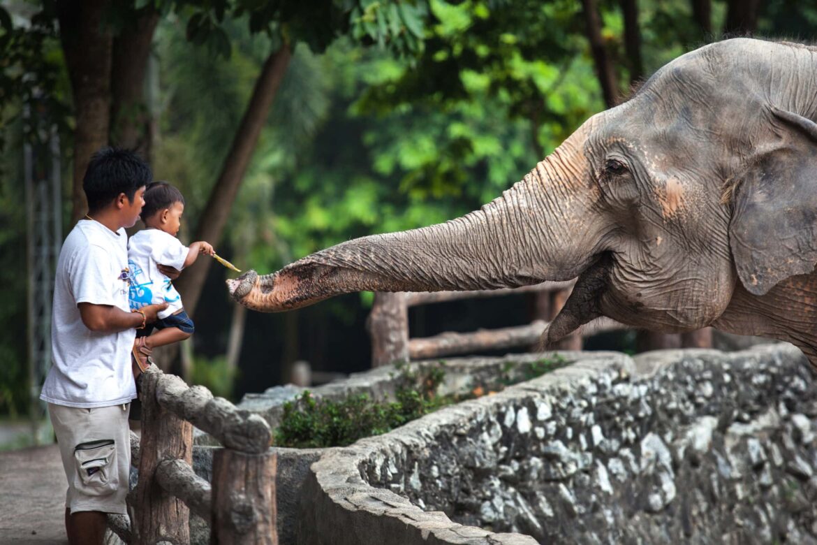 องค์การสวนสัตว์แห่งประเทศไทยสวนสัตว์สงขลา