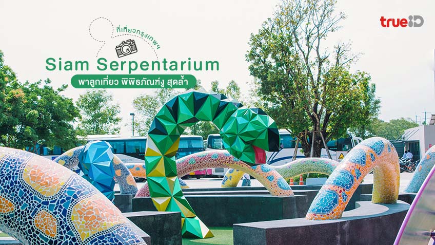 พาเที่ยว กรุงเทพ Siam Serpentarium พาลูกเที่ยว พิพิธภัณฑ์งู สุดล้ำ