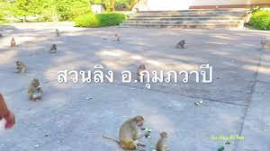 พาเที่ยว สวนธรรมชาติ สวนลิง จังหวัดอุดรธานี