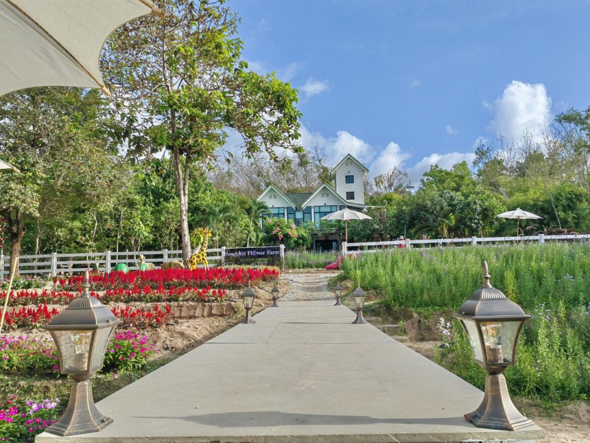Songkhla Flower Farm สวนดอกไม้แห่งแรกในสงขลา