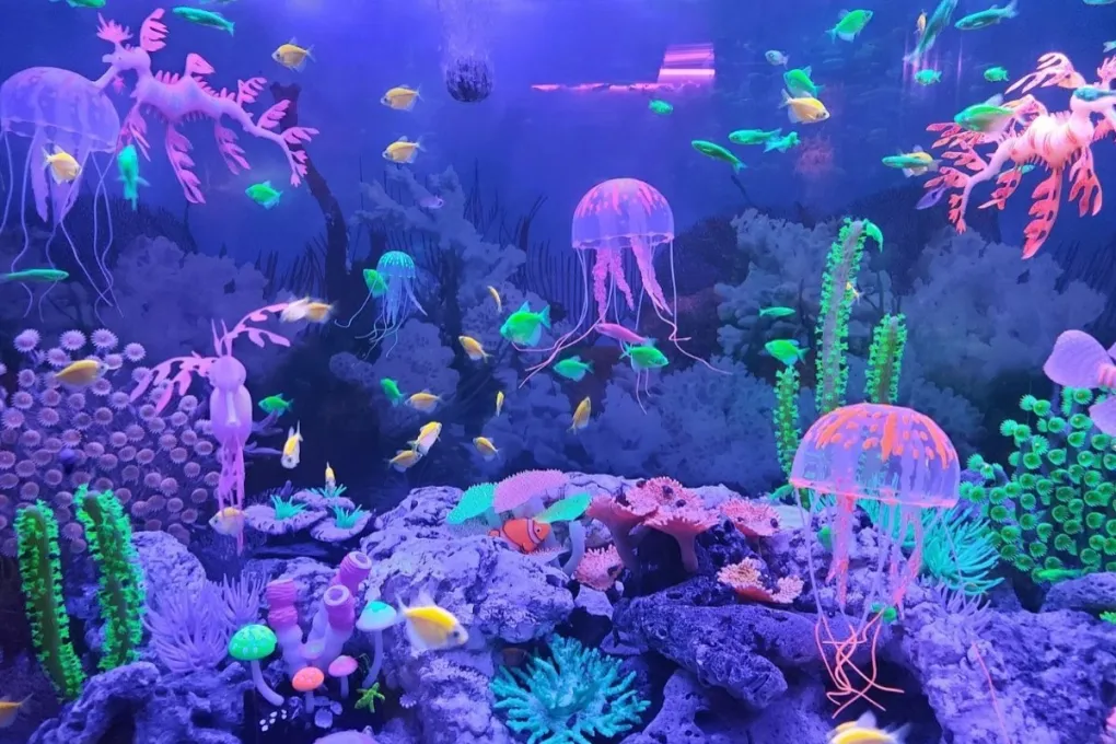 monster aquarium ชลบุรี